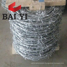 Galvanized Steel Coiled Barbed Wire ( Direct Factoty )